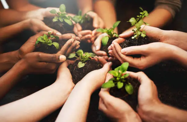 How Agrofer Helps Farmers Protect the Environment