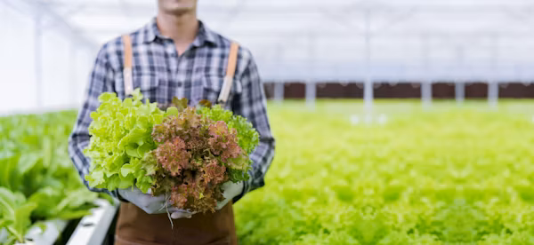 Fertilizers